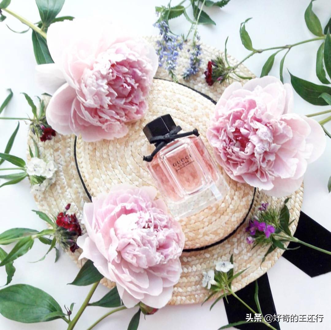 古驰绚丽栀子花淡香还是浓香好闻,古驰绚丽栀子花香水好闻吗