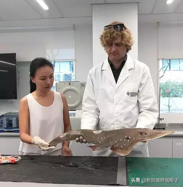 泰国超市奇葩东西,新加坡超市里的东西