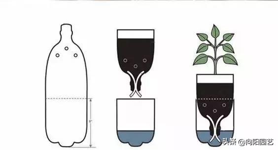 制作简易定时浇水装置,出门一个月的懒人浇水神器制作