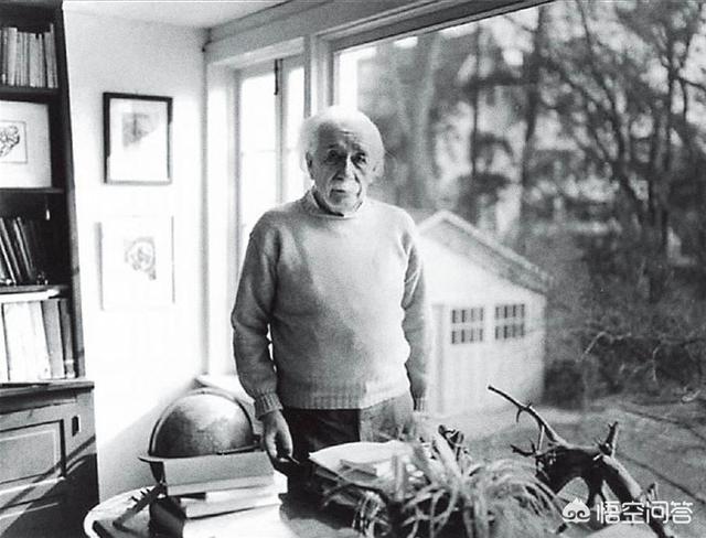 预言蜜蜂灭绝真相,爱因斯坦预言蜜蜂消失人类灭亡