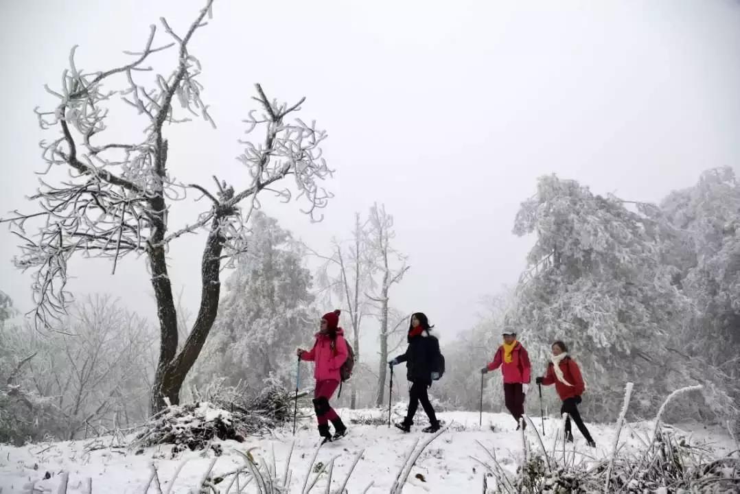 贵阳云雾山云海,贵阳云雾山雾凇旅游攻略