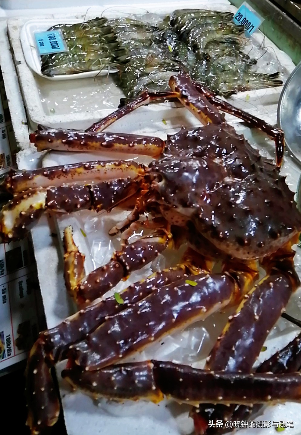 去越南看看他们吃的是什么,越南岘港海鲜价格