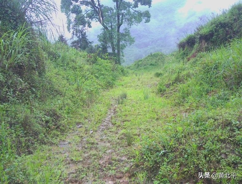 贵州遵义安场古道,贵州正安羊角老古道