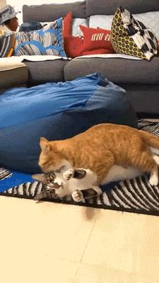 儿子心理有问题怎么办,儿子心理有毛病怎么办