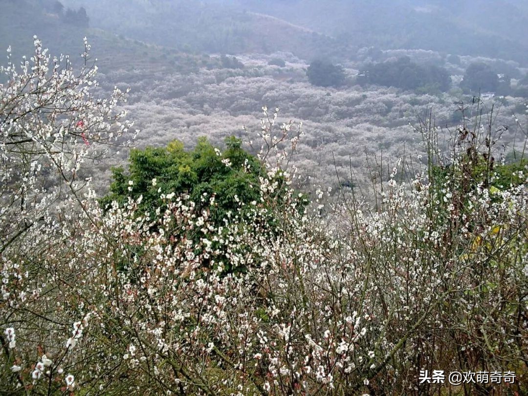 御水温泉陆河,御水湾温泉度假d区
