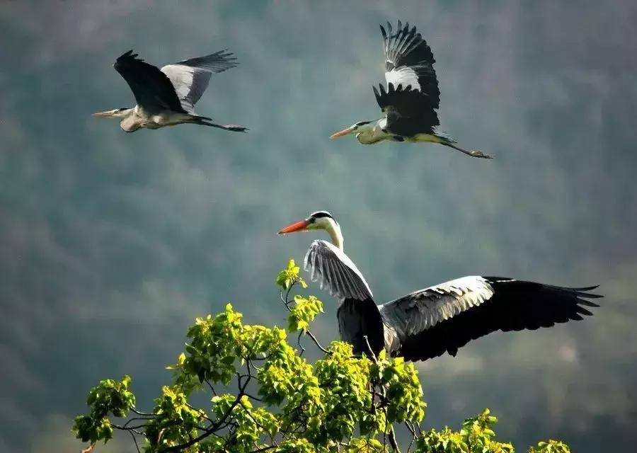 这就是福建,罗源一个正在崛起的城市