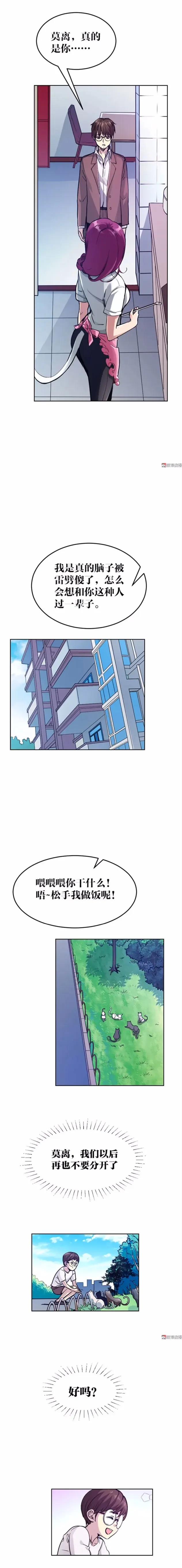 猫咪拟人化漫画,天秤座漫画猫咪