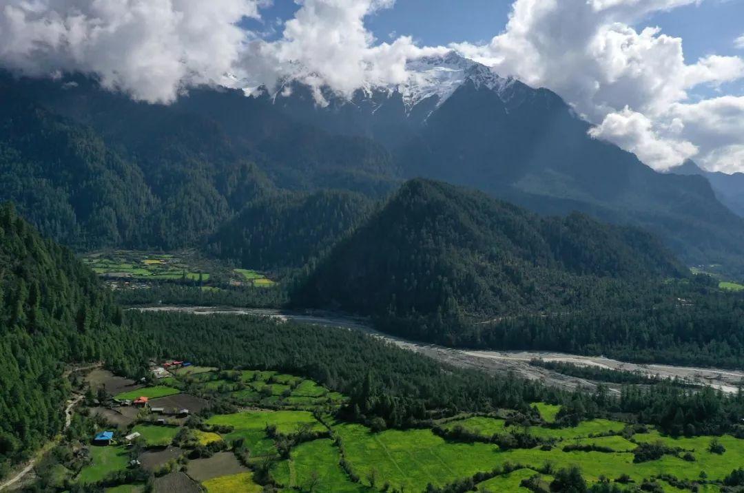 那曲唯一有桃花的地方,那曲有桃花吗