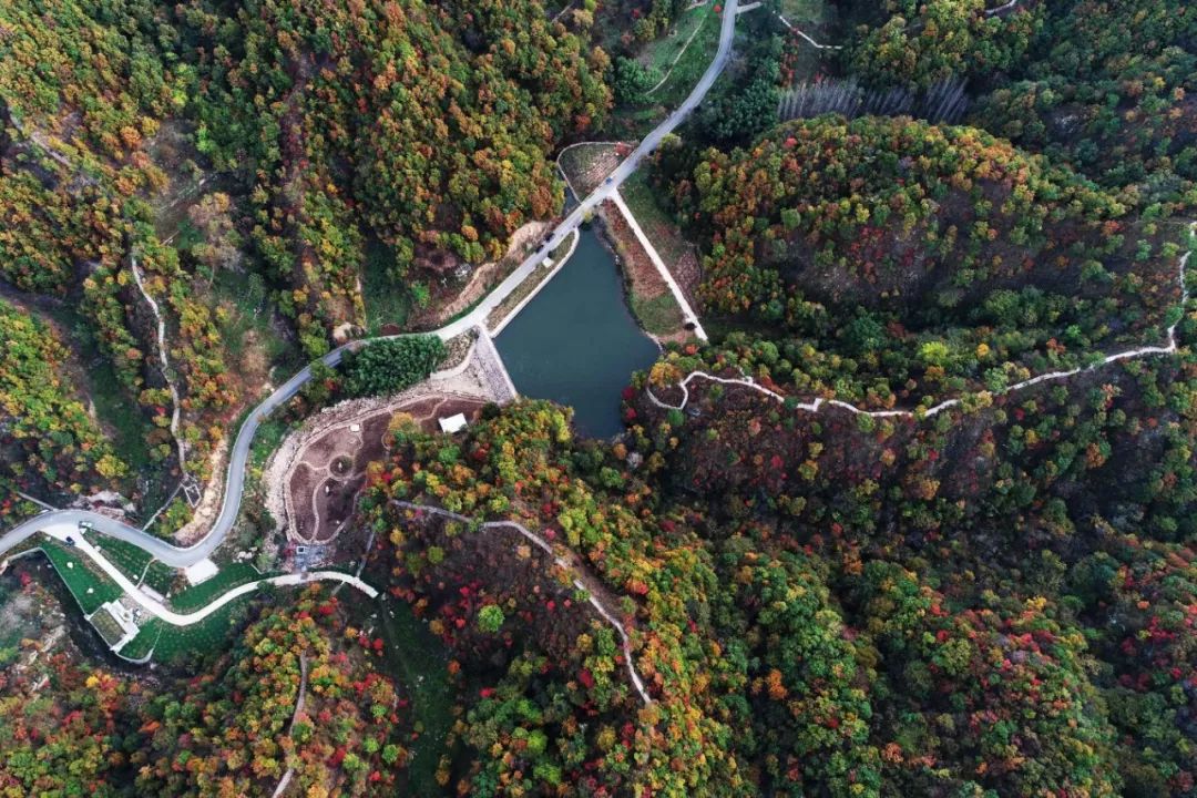 西泰山的特点是什么,西泰山为啥叫西泰山