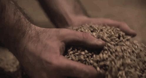 两万内的威士忌推荐,两万的威士忌