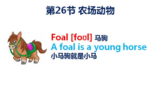 小学生入门学英语单词1000个,初学者如何快速学会英语单词