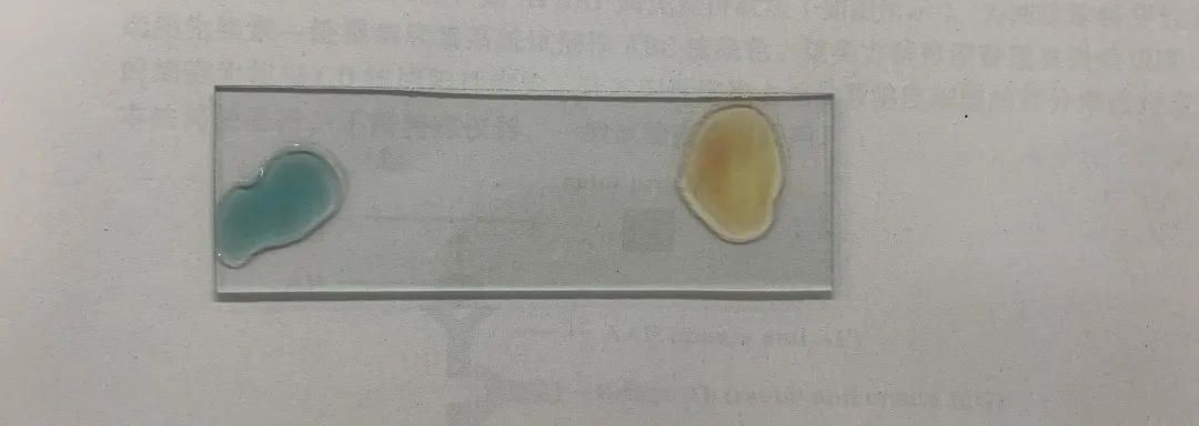 医学生学习打卡做题,医学生学习成果检验视频