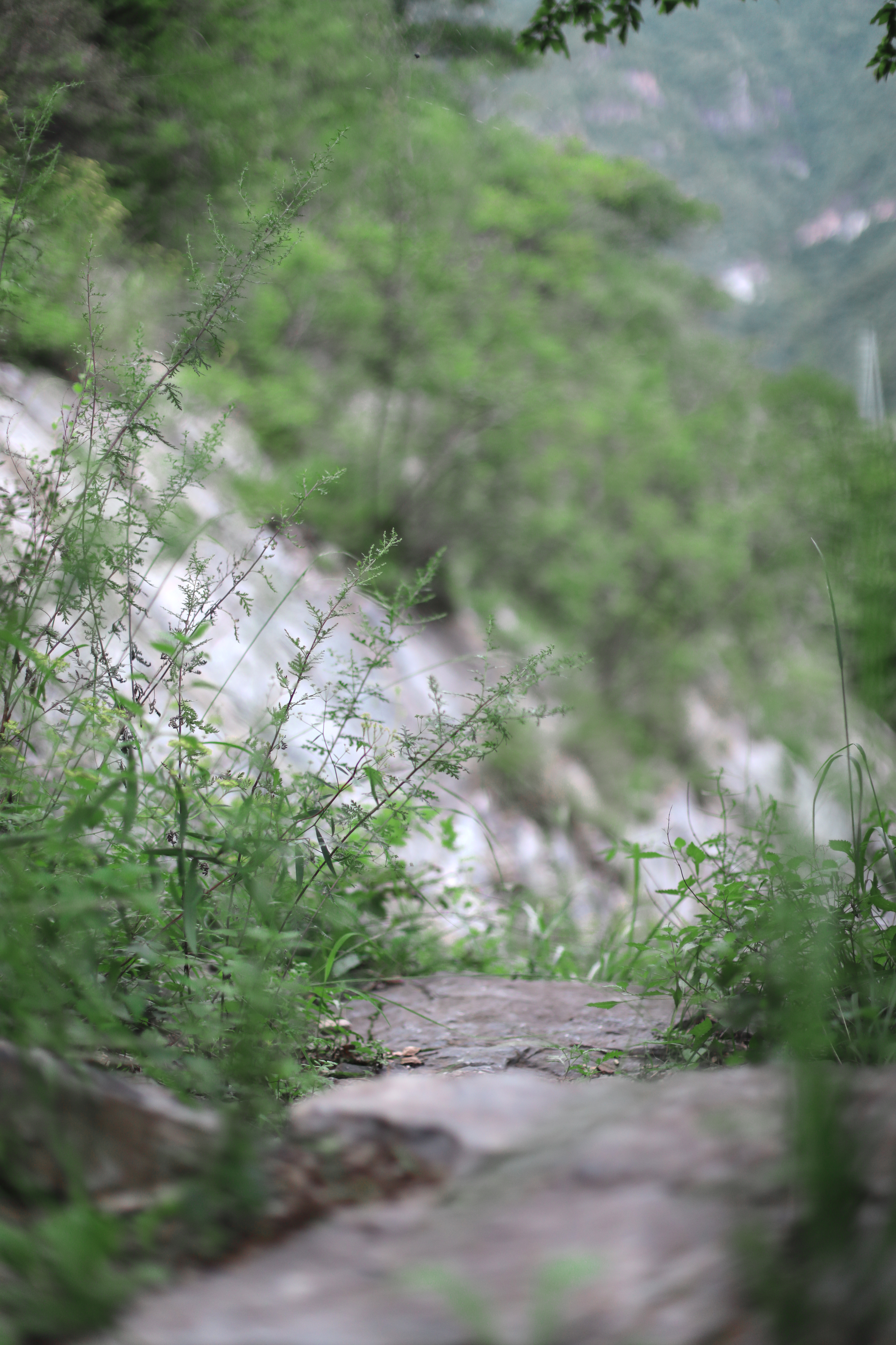 京郊十条登山步道推荐,房山蝴蝶谷登山步道