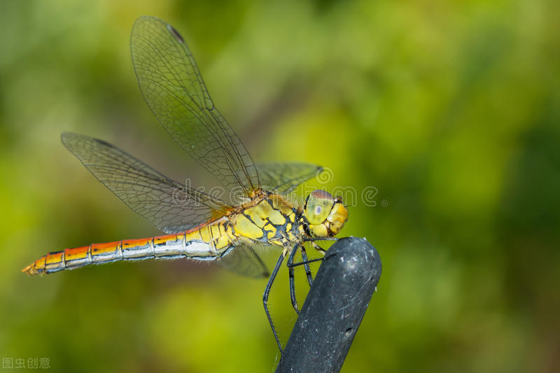 人生是一趟单程车有人来有人走,人生像一趟有来无回的列车