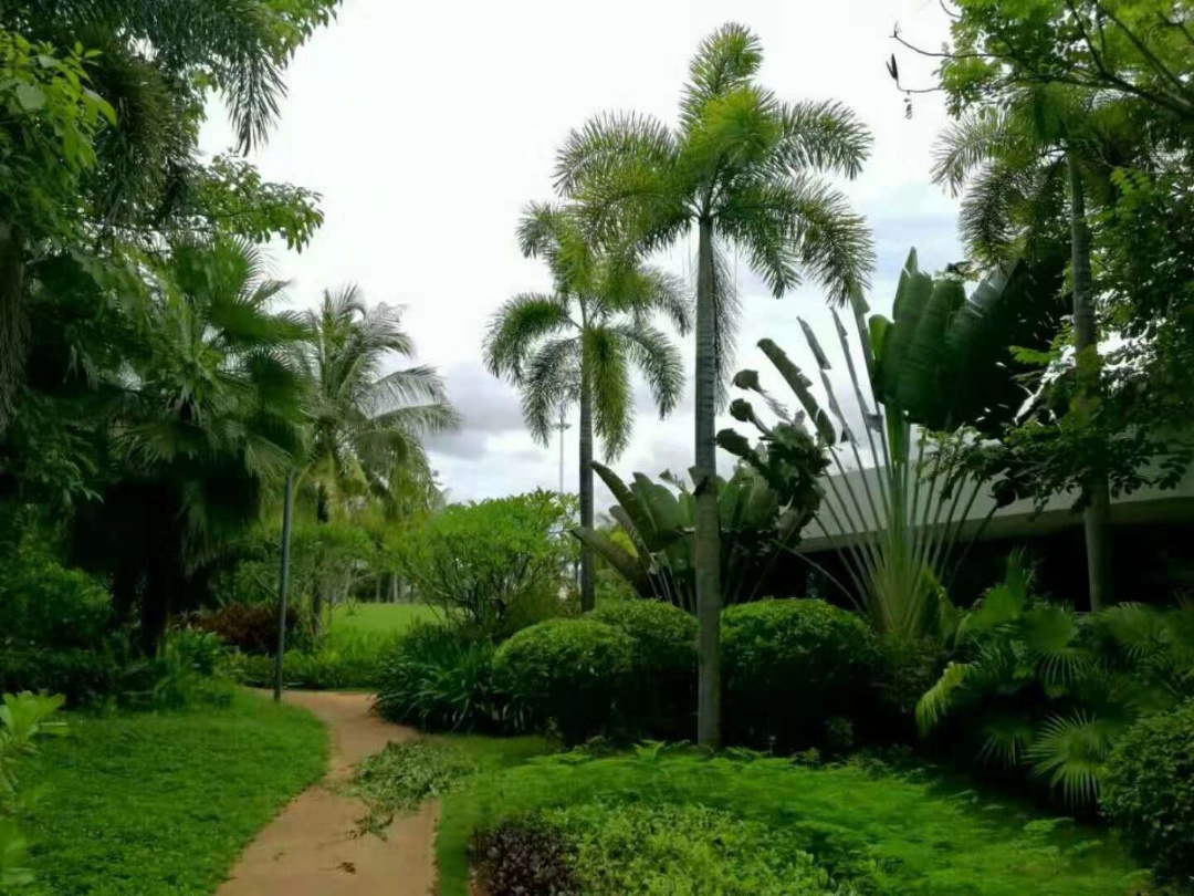 海南三亚清水湾单价：洋房均价1.82万/㎡别墅410-490万/套