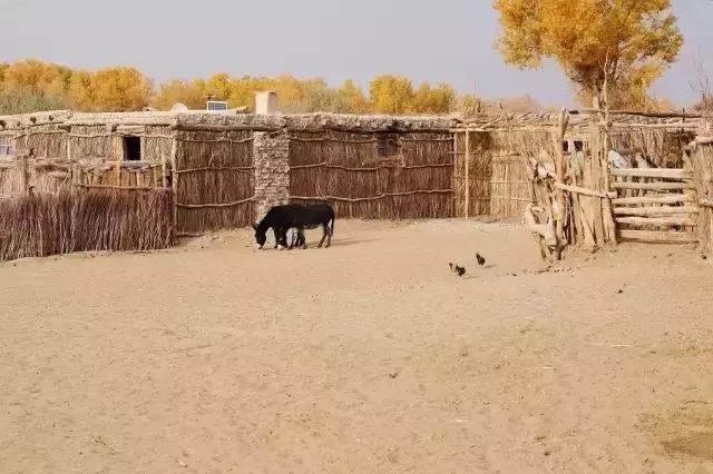 新疆于田沙漠无人区,新疆于田沙漠最后村庄