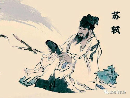 在你的眼里诗歌到底是什么,苏轼留给你印象最深的是什么