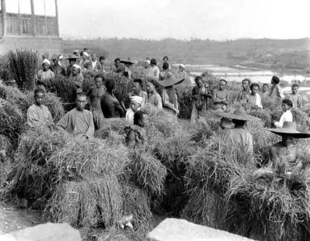 江浙沪民国照片 (民国流氓照片)