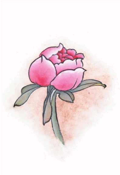 工笔画染染的正确方法,工笔画的分染步骤与技巧知识