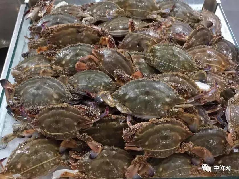 中秋营销水产篇，如何稳中求胜创佳绩？