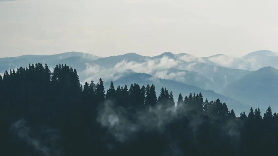 刘力红是什么样的,刘力红三和学院