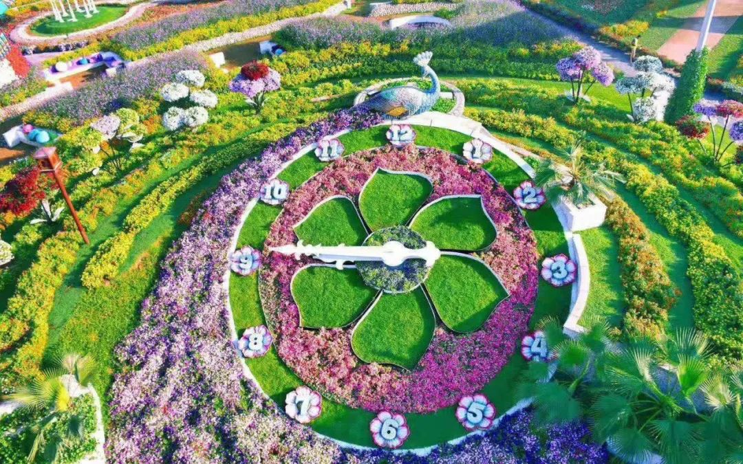 五一假期潍坊赏花踏青地推荐！这8个小众的绝美之地，一定要去走一走啊...