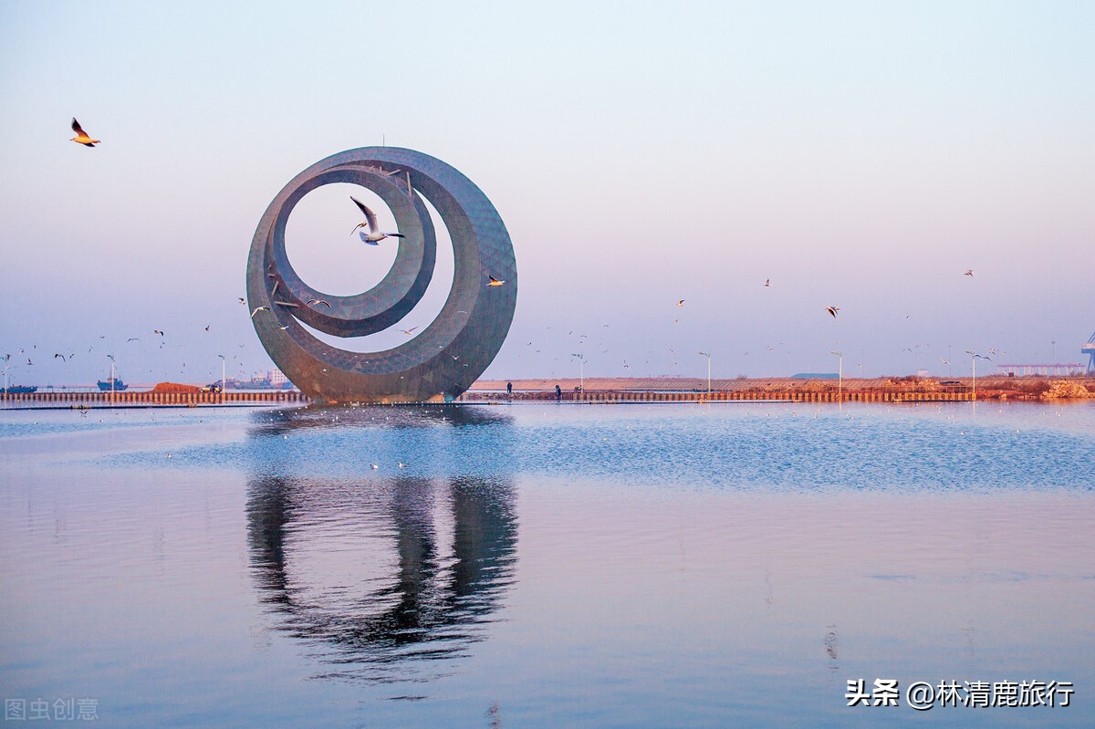 鲅鱼圈走红,意外走红的鲅鱼圈