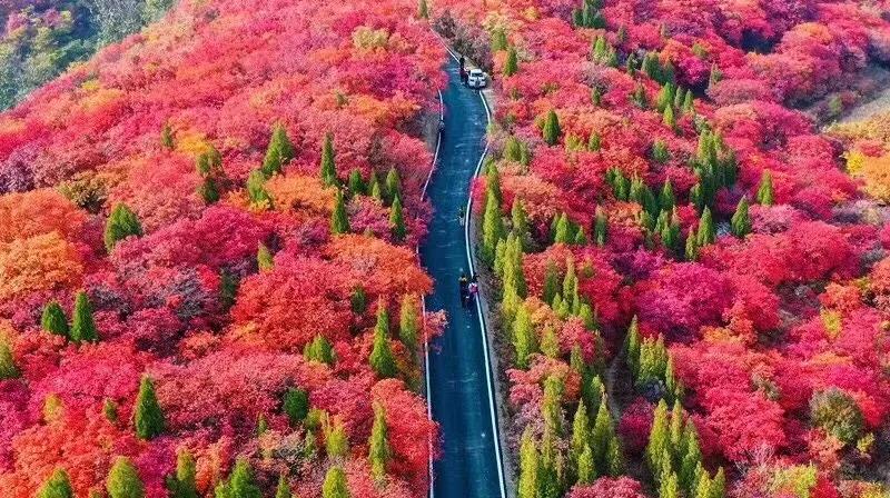 打造地方特色文旅项目,重磅打造的文旅项目