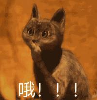 上海户口有什么条件才可以落进去,上海五大新城落户政策沪c户口