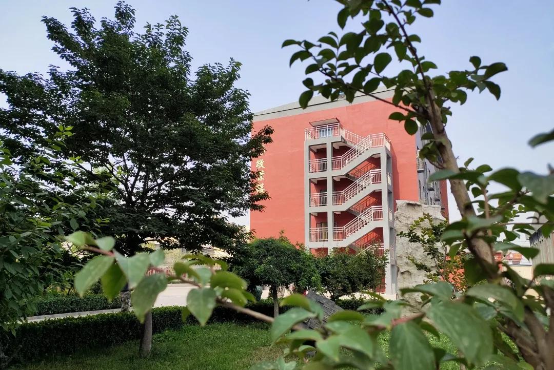 石家庄金石学校官网,欢迎报考石家庄金石中学