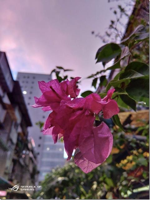 你想要的统统都给你全文免费,华硕rogphone6dultimate拆机