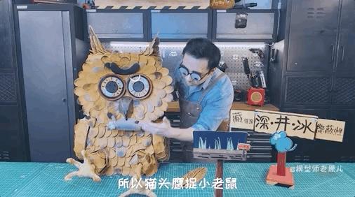 猫头鹰怎么摸眼睛,猫头鹰怎样抓蛇的视频