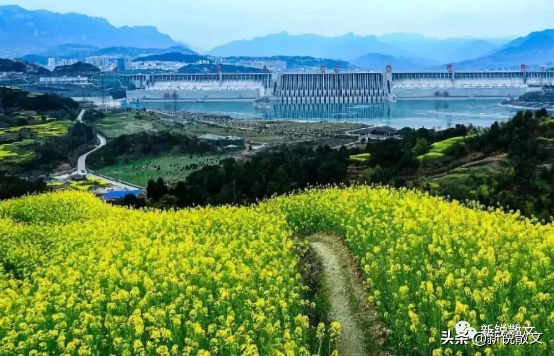 憨老头归隐,憨老头谷城