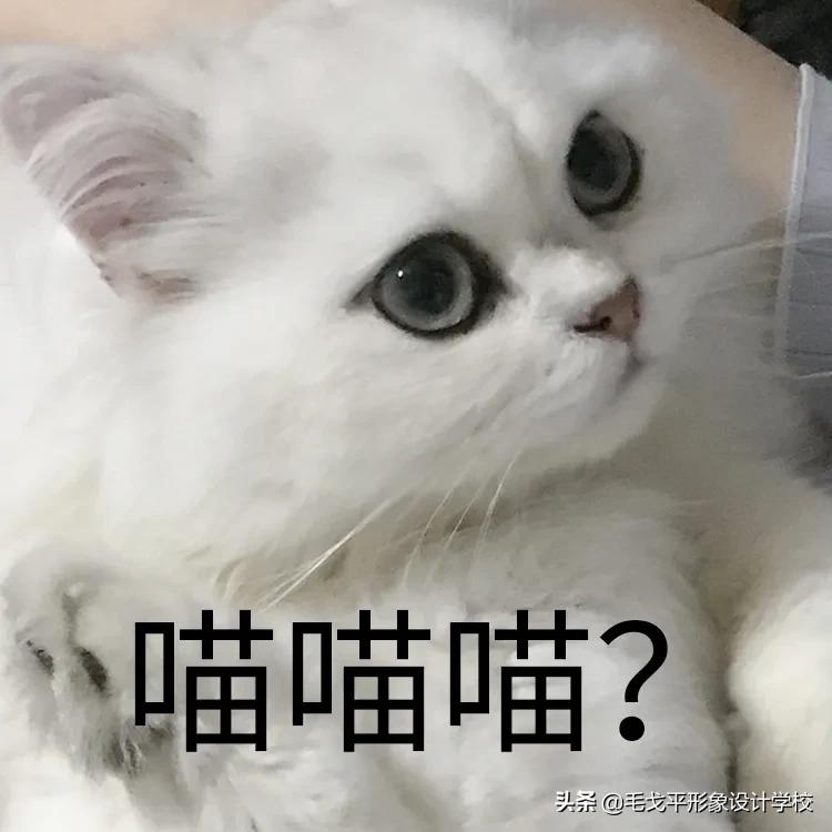 怎么画眼影新手教程,眼影怎么画新手简单又好看