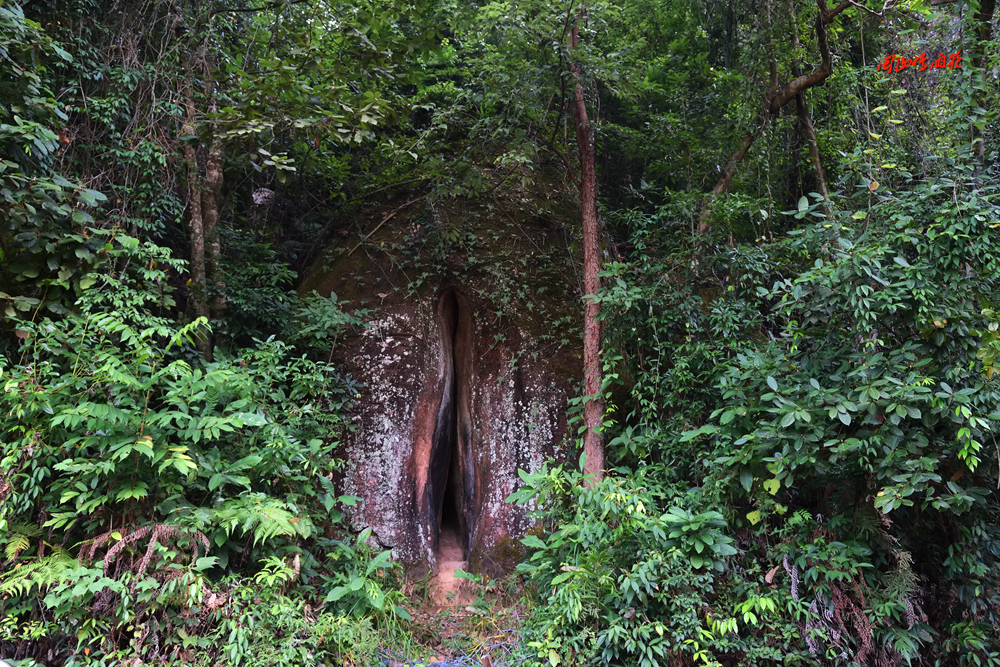 摄影就是记录流逝的时光,摄影捕捉生活的美好瞬间