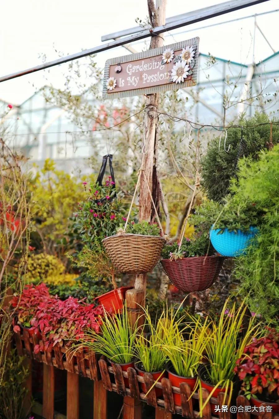 <html>
<head><title>502BadGateway</title></head>
<body>
<center><h1>502BadGateway</h1></center>
<hr><center>nginx</center>
</body>
</html>
<!--apaddingtodisableMSIEandChromefriendlyerrorpage-->
<!--apaddingtodisableMSIEandChromefriendlyerrorpage-->
<!--apaddingtodisableMSIEandChromefriendlyerrorpage-->
<!--apaddingtodisableMSIEandChromefriendlyerrorpage-->
<!--apaddingtodisableMSIEandChromefriendlyerrorpage-->
<!--apaddingtodisableMSIEandChromefriendlyerrorpage-->
