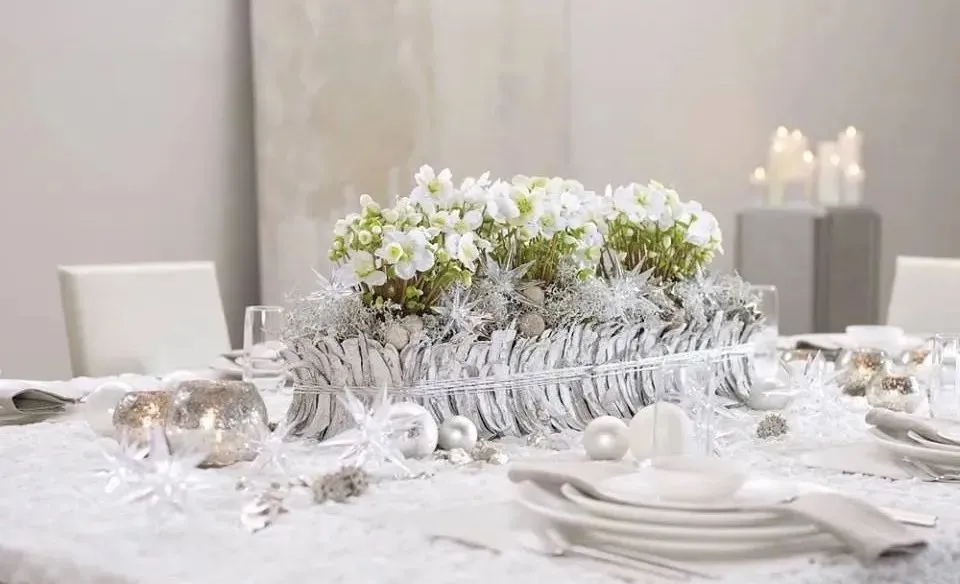 大雪天能种的植物,迷你玫瑰是不是一年四季都能开花