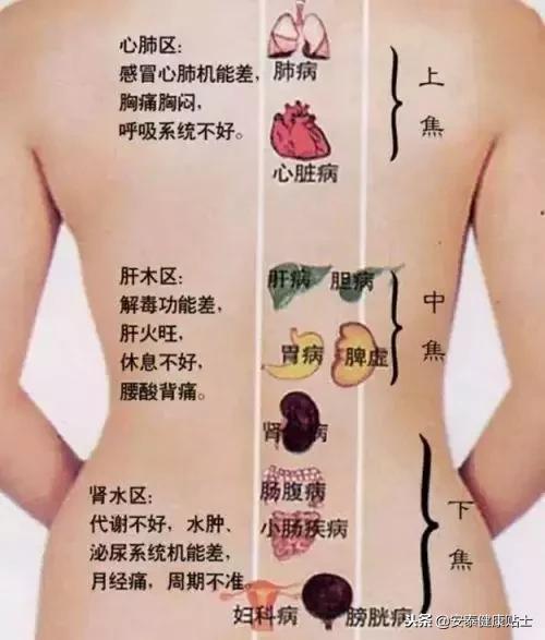 月经来了所有要注意的事项,怎么预防月经突然到来