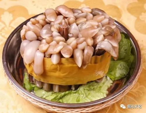 泊里西施舌购买,泊里西施舌