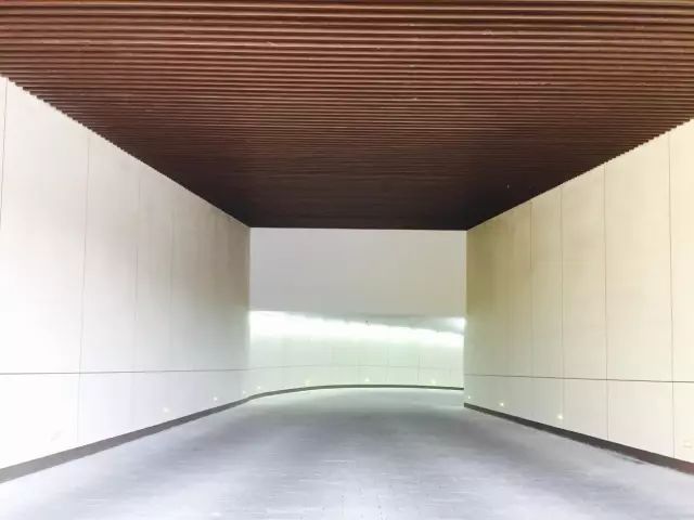 真正的豪宅车库,这样考虑