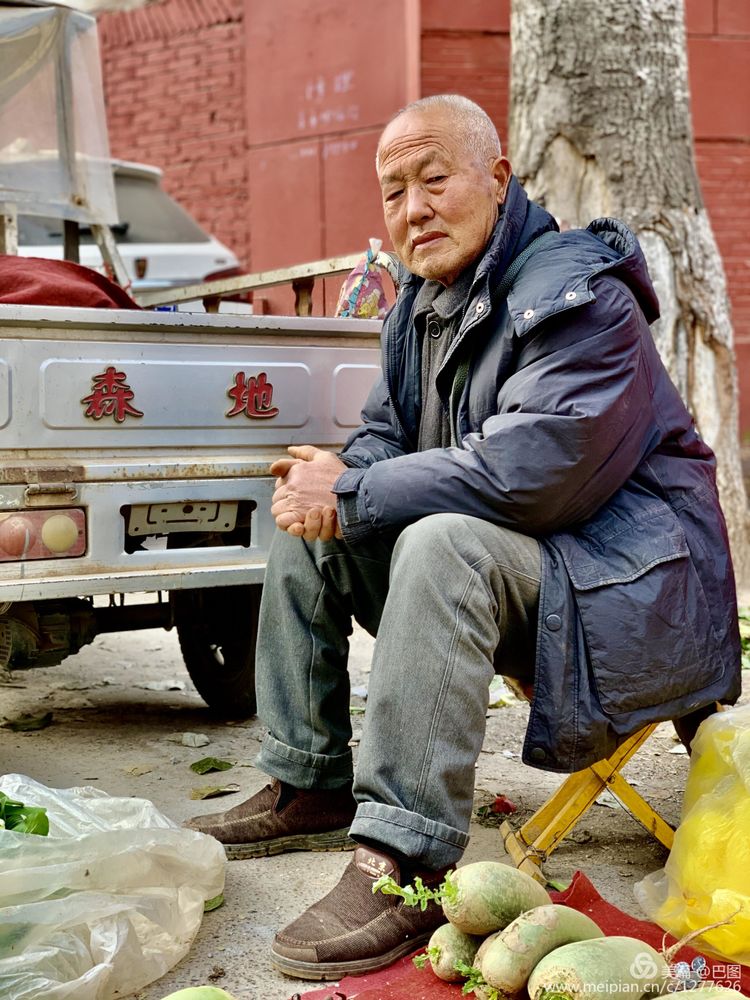 涧西牡丹广场老照片,洛阳牡丹手机拍照