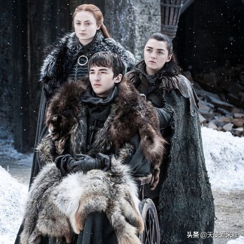 权力的游戏布兰登多余角色,权力的游戏布兰妮身份