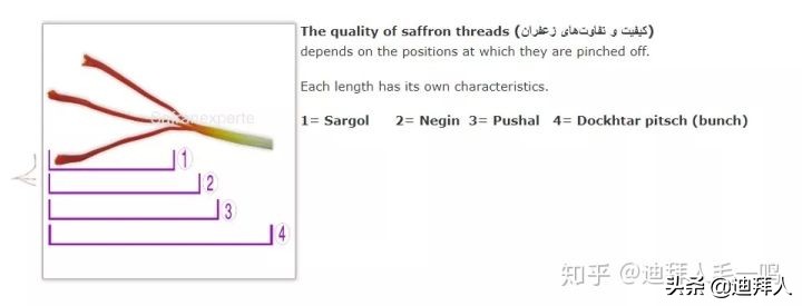 正宗藏红花真假怎么鉴别,怎样鉴别藏红花的真假和品质