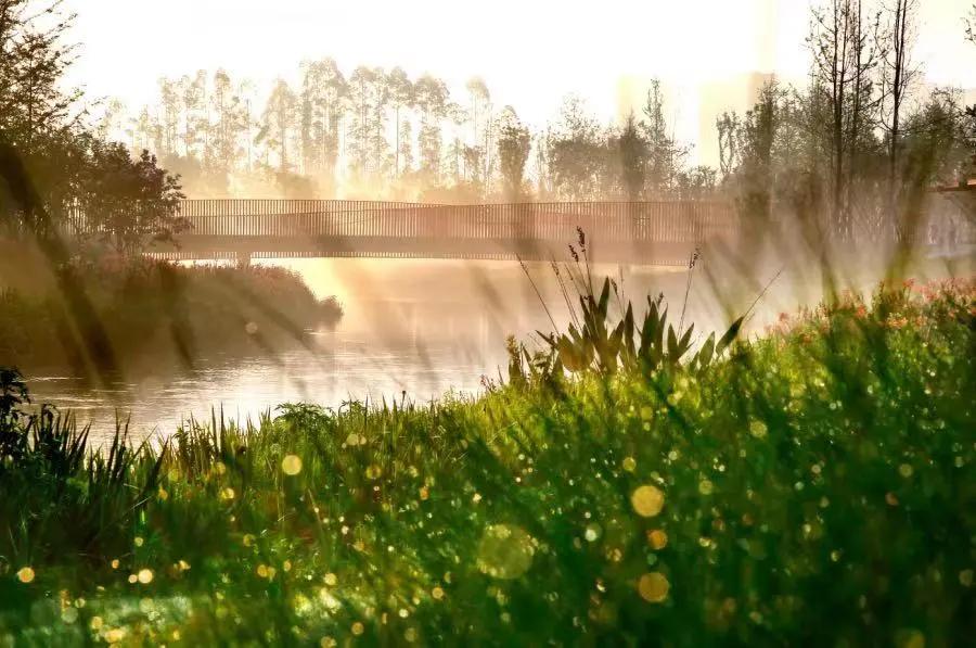 青白江十大健身地,青白江区体育锻炼的地方