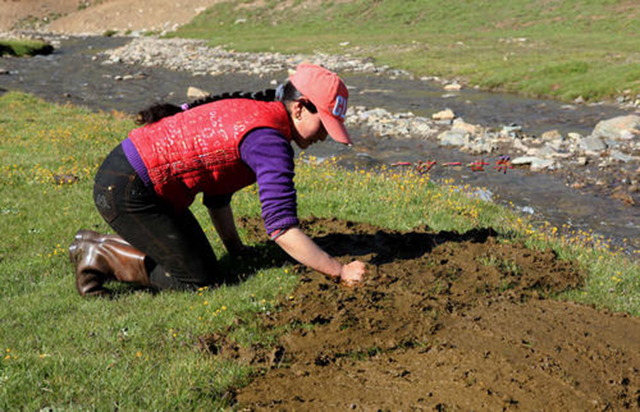农村钓鱼自制饵料,在农村钓鱼最简单的鱼饵