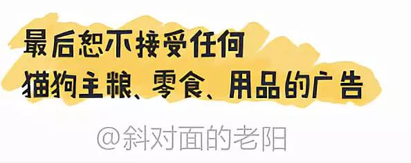网红斜对面的老阳检测一次收一万，软文代理审核才发，卖猫狗粮
