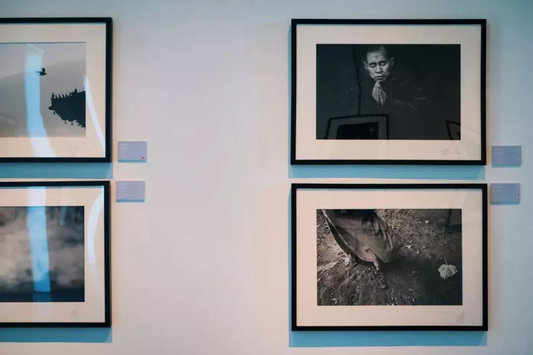 三亚海棠湾jw万豪与艾迪逊对比,不服来辩下一句