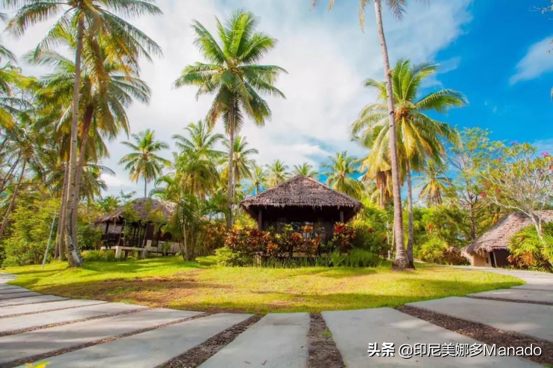 美娜多怎么去,美娜多解锁步骤