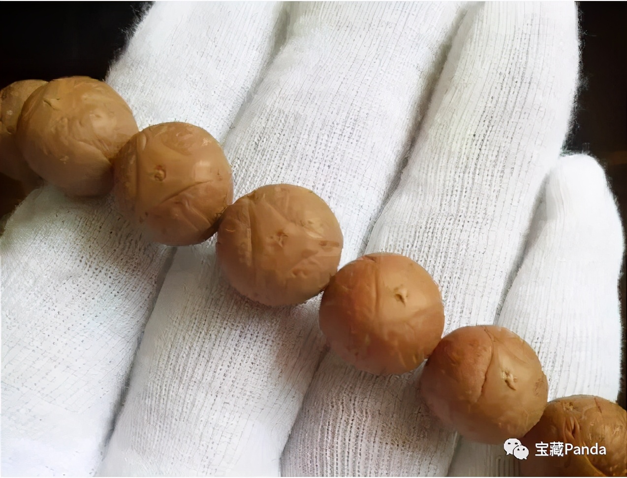 龙眼菩提四眼,龙眼菩提好还是凤眼好