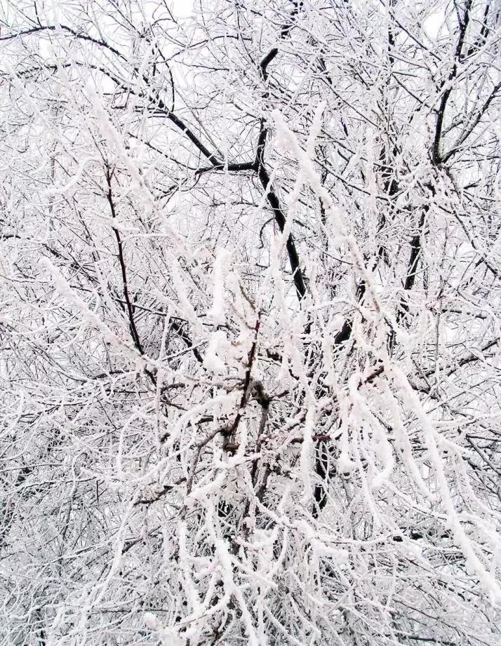 此生必去看一次雾凇太美了,此生必去看一次雾凇简直要美哭了